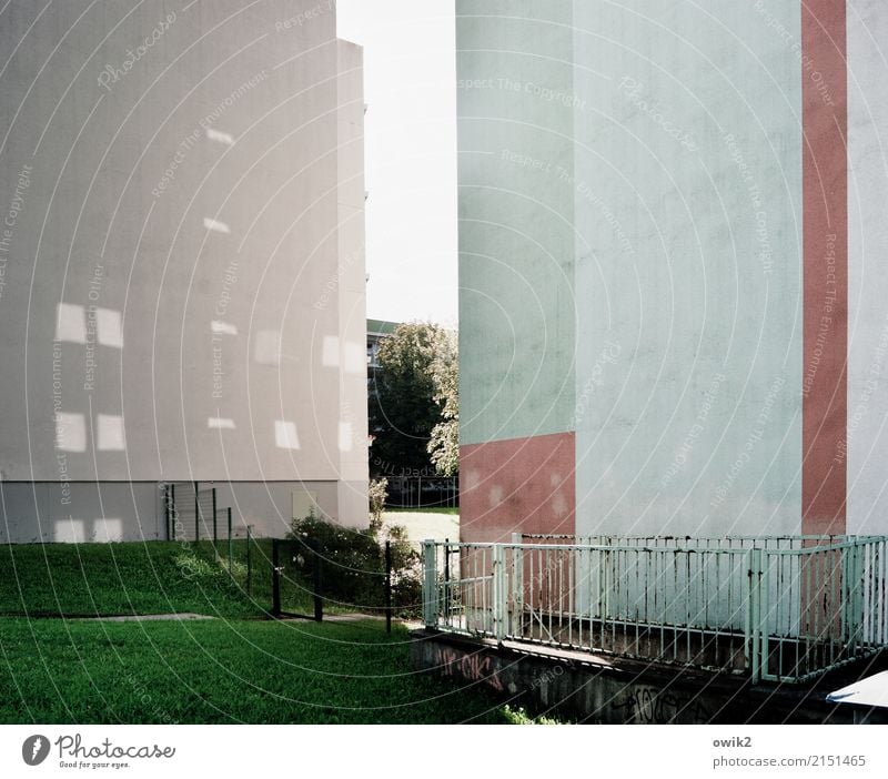 Lichtschacht Himmel Schönes Wetter Baum Gras Bautzen Lausitz Deutschland Plattenbau Wohngebiet Kleinstadt Stadtrand Haus Hochhaus Gebäude Mauer Wand Fassade