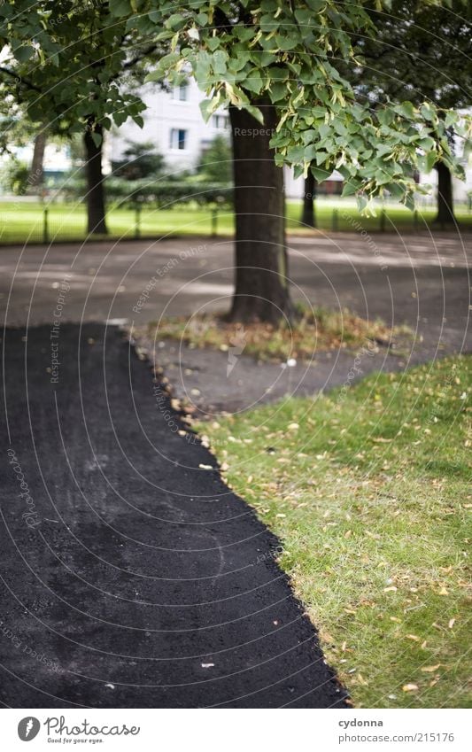 Neue Wege gehn Lifestyle Umwelt Natur Baum Gras Park Verkehrswege Straße Wege & Pfade ästhetisch Bewegung einzigartig Idee Kreativität Leben planen skurril