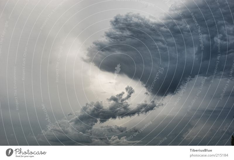 Vor dem Sturm Himmel Wolken Gewitterwolken Unwetter bedrohlich dunkel wild blau grau Gedeckte Farben Außenaufnahme Menschenleer Textfreiraum links Tag Licht