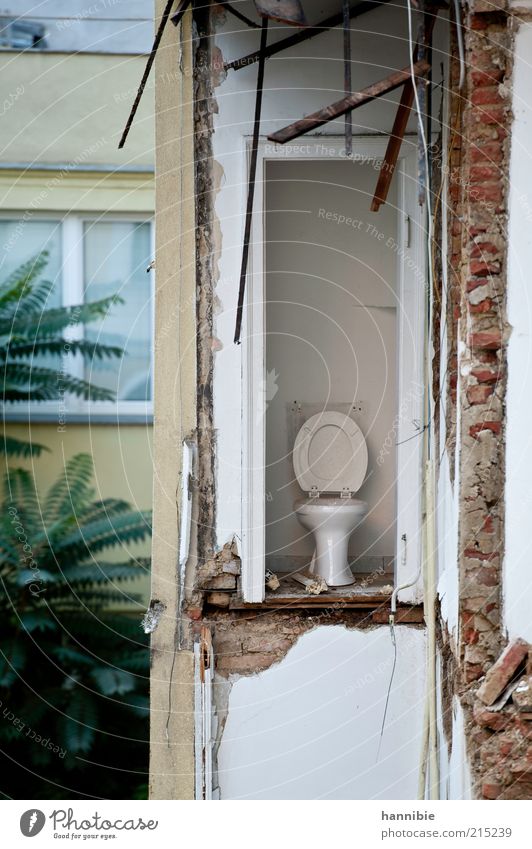 Stilles Örtchen Baustelle Haus Mauer Wand grün weiß Zerstörung Demontage Wien Abrissgebäude Toilette kaputt Ziegelbauweise offen Farbfoto Außenaufnahme