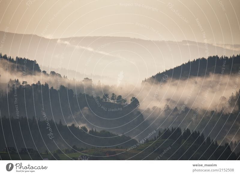 Berglandschaft kurz nach Regen. Nebelwolken Ferien & Urlaub & Reisen Tourismus Ausflug Abenteuer Ferne Freiheit Sommer Sommerurlaub Berge u. Gebirge wandern