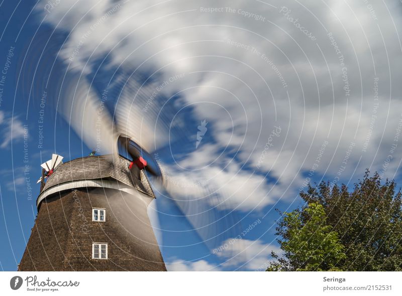 Schwungvoll Bauwerk Gebäude Architektur Dach Sehenswürdigkeit Denkmal drehen Windmühle Windmühlenflügel Farbfoto mehrfarbig Außenaufnahme Detailaufnahme