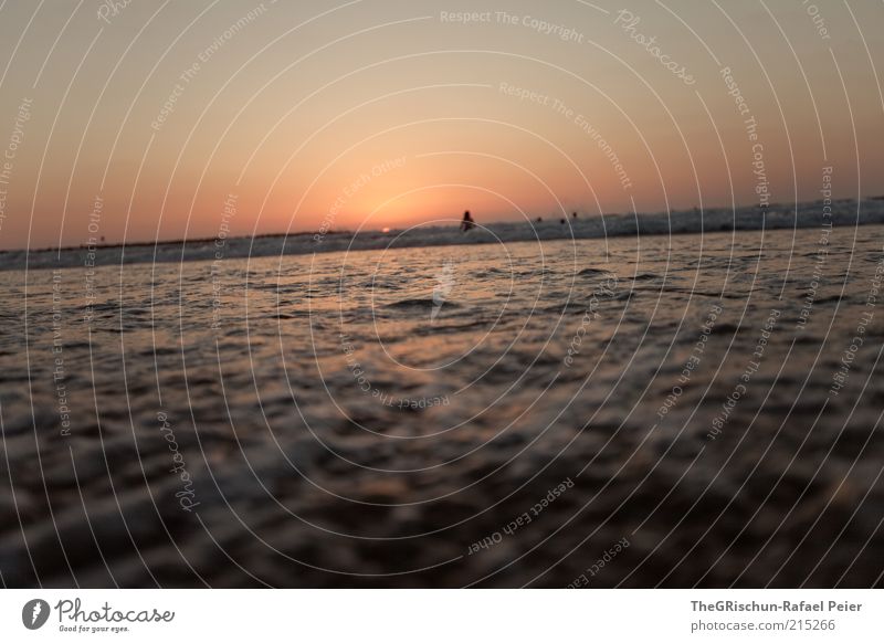 schiefer horizont Ferien & Urlaub & Reisen Tourismus Ausflug Ferne Sommerurlaub Sonne Schönes Wetter Tel Aviv Israel Sonnenuntergang Wasser Horizont Stimmung