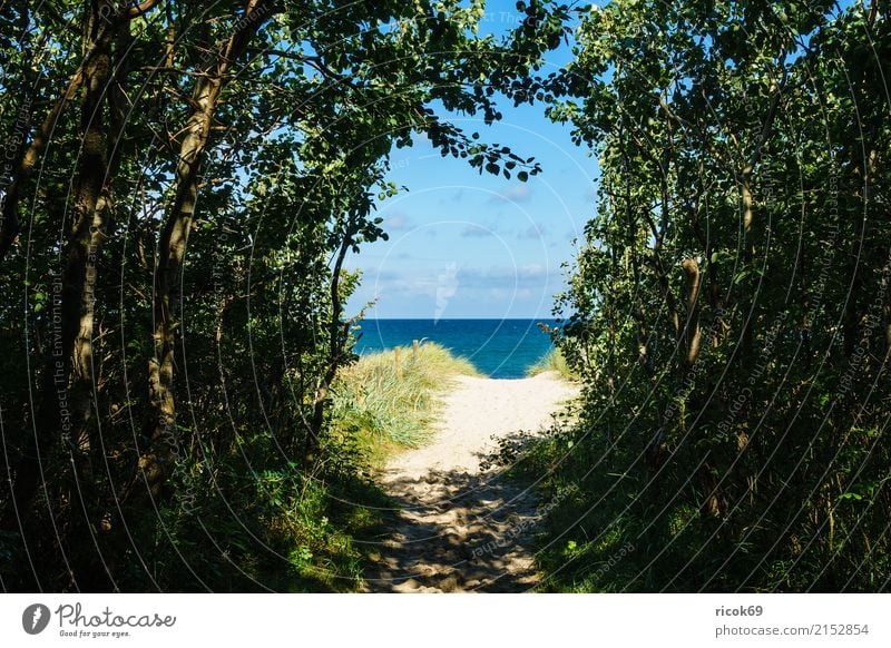 Strand an der Ostsee bei Graal Müritz Erholung Ferien & Urlaub & Reisen Tourismus Meer Wellen Natur Landschaft Wolken Wetter Baum Küste Wege & Pfade blau