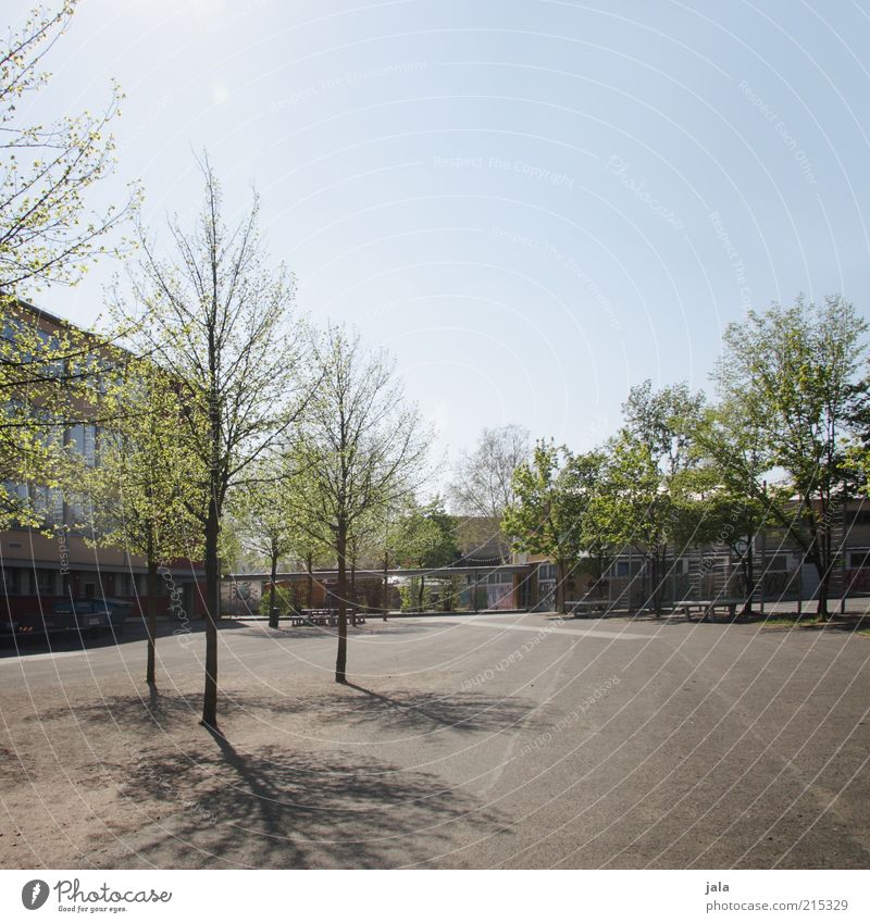 back to school Schule Schulgebäude Schulhof Himmel Pflanze Baum Haus Platz Bauwerk Gebäude Farbfoto Außenaufnahme Menschenleer Textfreiraum oben Tag Licht