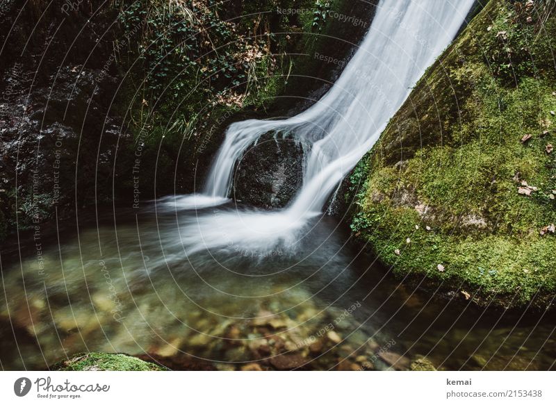 Wasserfall Leben harmonisch Wohlgefühl Zufriedenheit Sinnesorgane Erholung ruhig Abenteuer Freiheit wandern Natur Sommer Schönes Wetter Moos Felsen Stein