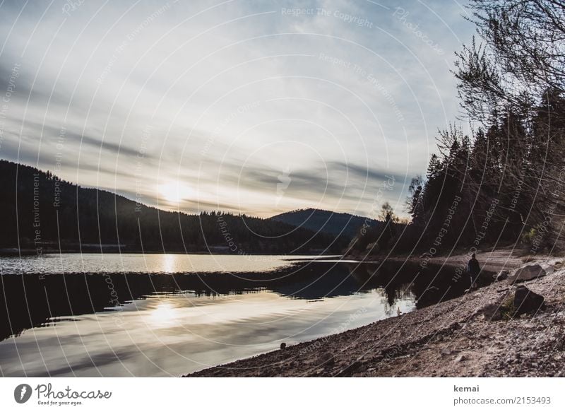 Abends am See Lifestyle harmonisch Wohlgefühl Zufriedenheit Erholung ruhig Freizeit & Hobby Ausflug Abenteuer Ferne Freiheit Mensch Leben 1 Natur Landschaft