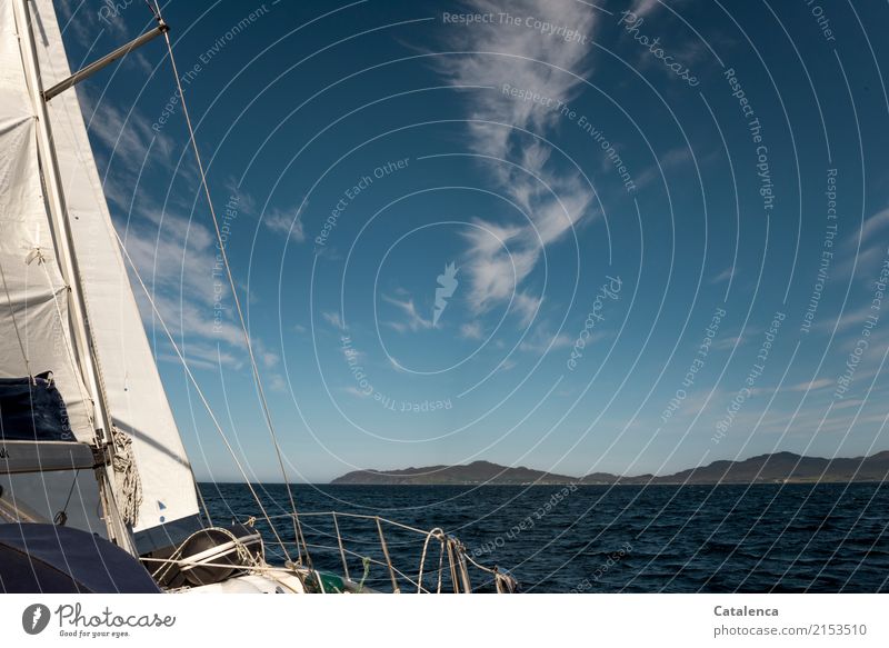 Segel einer Segelyacht, Meer und Küstenstreifen am Horizont Segeltörn Segeln Natur Landschaft Luft Wasser Himmel Wolken Sommer Schönes Wetter Hügel Felsen