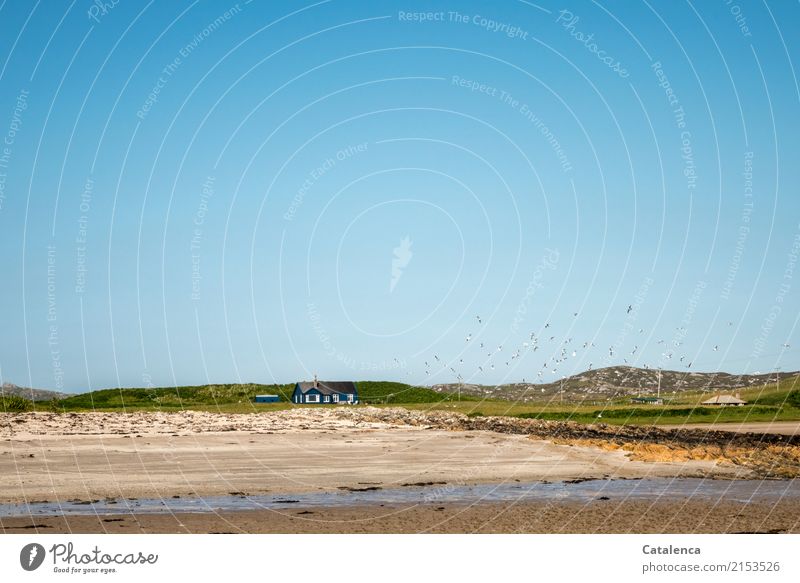 Schöner wohnen, Haus am Strand Freiheit Wohnung Traumhaus Hochspannungsleitung Landschaft Sand Wasser Wolkenloser Himmel Sommer Schönes Wetter Gras Dünengras