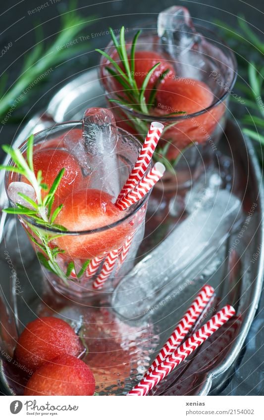 Wassermelone mit Rosmarin und Eissticks als Erfrischungsgetränk auf einem silbernen Tablett Frucht Kräuter & Gewürze Eiswürfel Kugel Bioprodukte