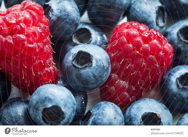 Himbeeren mit Blaubeeren Frucht Ernährung Bioprodukte Vegetarische Ernährung Gesunde Ernährung frisch Gesundheit lecker süß rot schwarz Rohkost Ernte Farbfoto