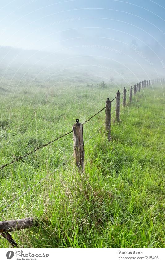 Morgennebel Natur Landschaft Luft Nebel Wiese grün Deutschland Morgendämmerung Stacheldrahtzaun Zaun Zaunpfahl Bayern Farbfoto Gedeckte Farben Außenaufnahme