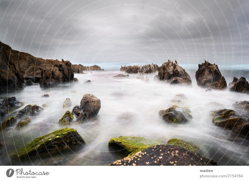 die Flut kommt Natur Landschaft Himmel Wolken Horizont Sommer Wetter schlechtes Wetter Wind Felsen Wellen Küste Strand Meer wild Atlantik Algen Farbfoto