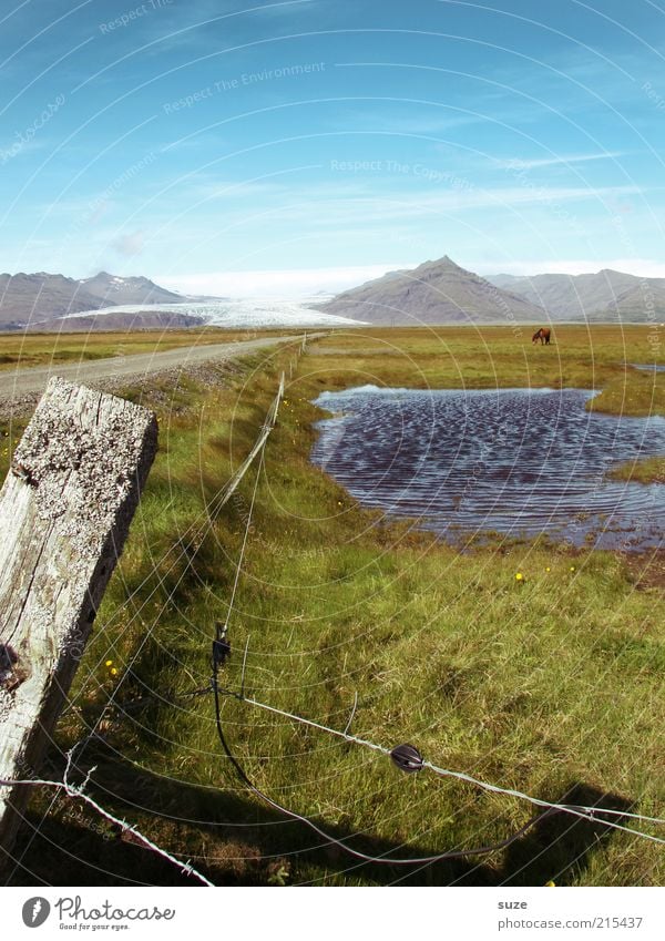 Weg zum Gletscher Ferien & Urlaub & Reisen Tourismus Ausflug Freiheit Berge u. Gebirge Umwelt Natur Landschaft Sommer Klima Klimawandel Schönes Wetter Wiese