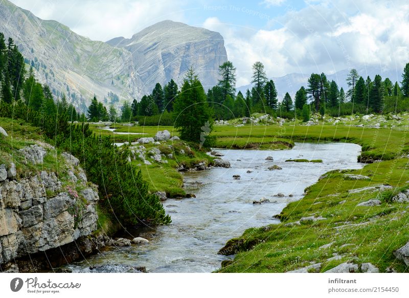 In den Dolomiten Ferien & Urlaub & Reisen Berge u. Gebirge wandern Landschaft Wasser Wolken Sommer Wiese Wald Felsen Alpen Bach Italien ästhetisch natürlich