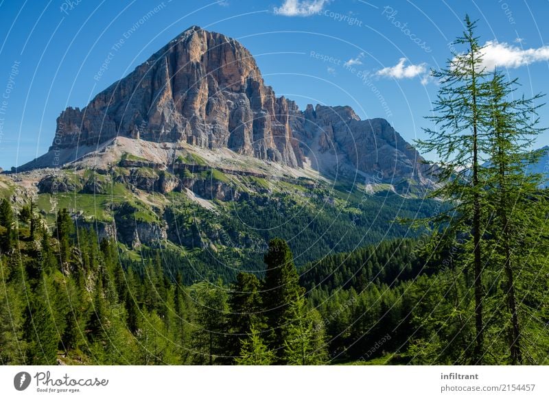 Dolomiten - Blick auf den Tofana di Rozes Ferien & Urlaub & Reisen Abenteuer Ferne Berge u. Gebirge wandern Landschaft Wald Felsen Alpen Gipfel ästhetisch hoch