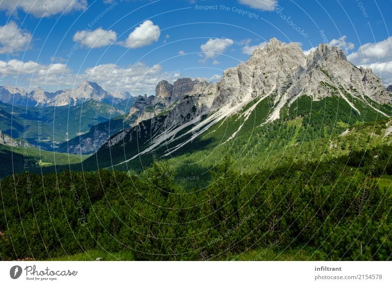 In den Dolomiten Ferien & Urlaub & Reisen Ausflug Abenteuer Ferne Freiheit Berge u. Gebirge wandern Landschaft Himmel Wolken Sträucher Wiese Wald Hügel Felsen