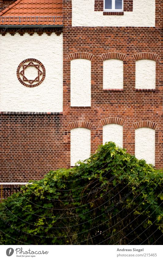 Schwartzkopff Natur Landschaft Pflanze Sträucher Grünpflanze Haus Architektur Mauer Wand Fassade Fenster Dach Dachrinne Dekoration & Verzierung Stein historisch