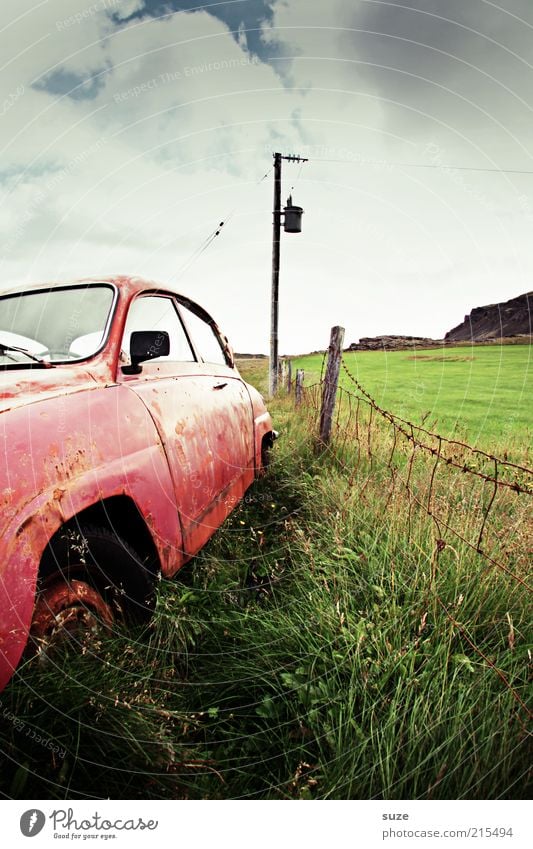 Rostlaube Umwelt Natur Urelemente Himmel Wolken Sommer Gras Wiese Verkehrsmittel Fahrzeug PKW Oldtimer alt kaputt retro rosa Vergangenheit Zeit Schrott Island