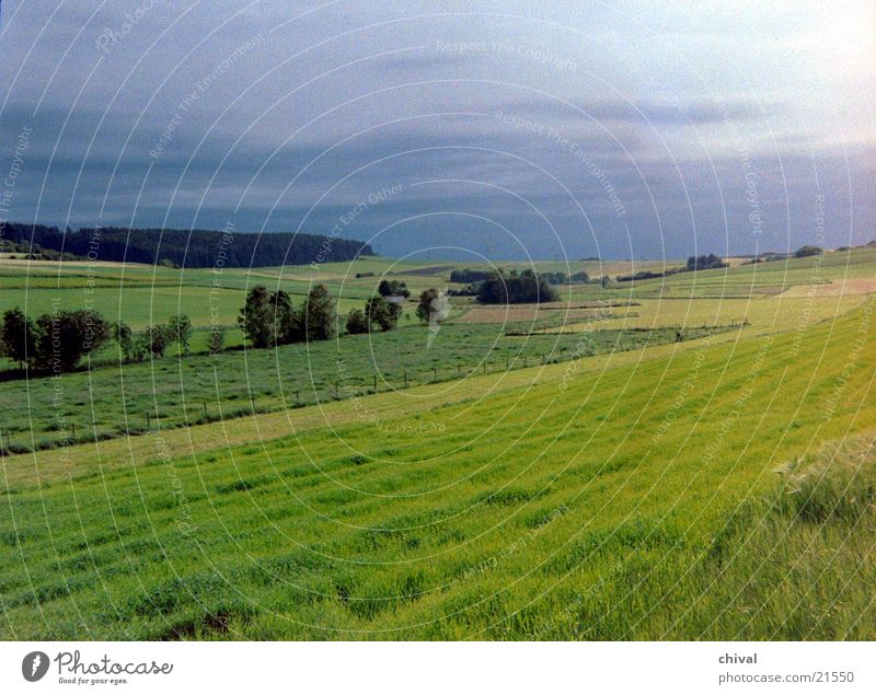 Schwarzwald Wiese Wald Berge u. Gebirge Abend Ferne