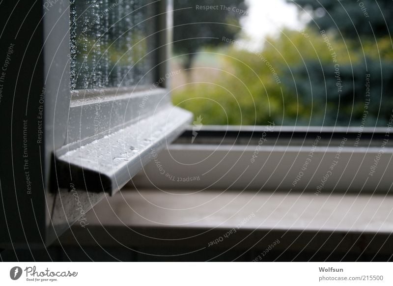 Offenes Fenster Fensterbrett Fensterblick Fensterrahmen Glas dunkel eckig kalt nass ruhig Farbfoto Nahaufnahme Menschenleer Tag Licht Schatten