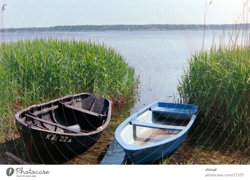 Boote See Meer Schilfrohr Vorpommersche Boddenlandschaft Wasser