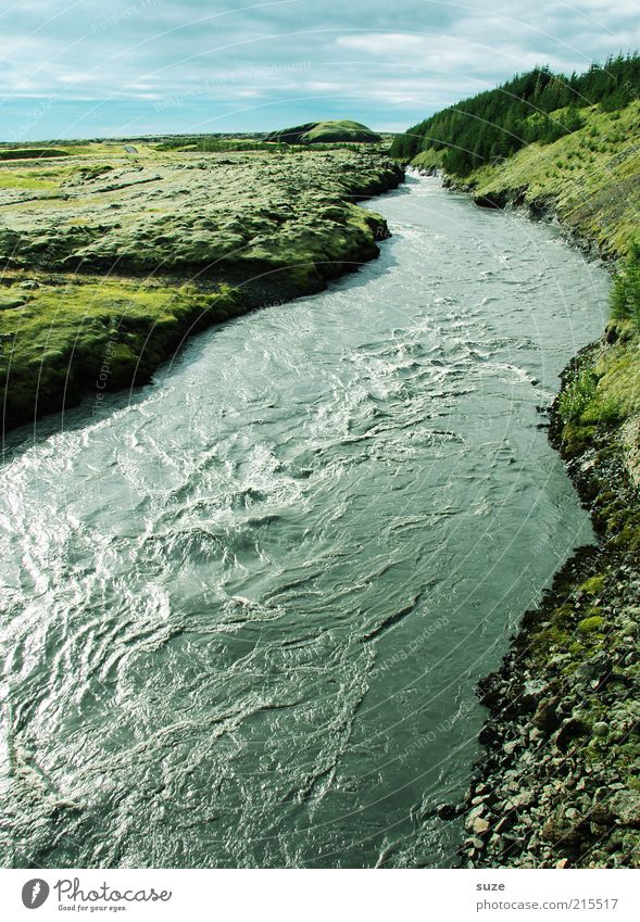 Fluss Umwelt Natur Landschaft Urelemente Wasser Himmel Wolken Horizont Schönes Wetter Wiese Flussufer außergewöhnlich fantastisch gigantisch groß kalt wild grün