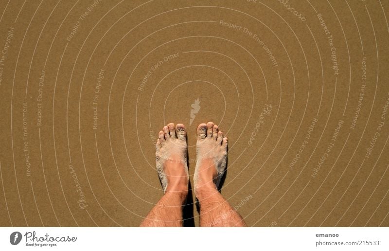 atlantic feet Ferien & Urlaub & Reisen Tourismus Sommer Sommerurlaub Strand Mensch maskulin Fuß 1 Natur Sand Küste stehen warten dreckig braun 2 Farbfoto