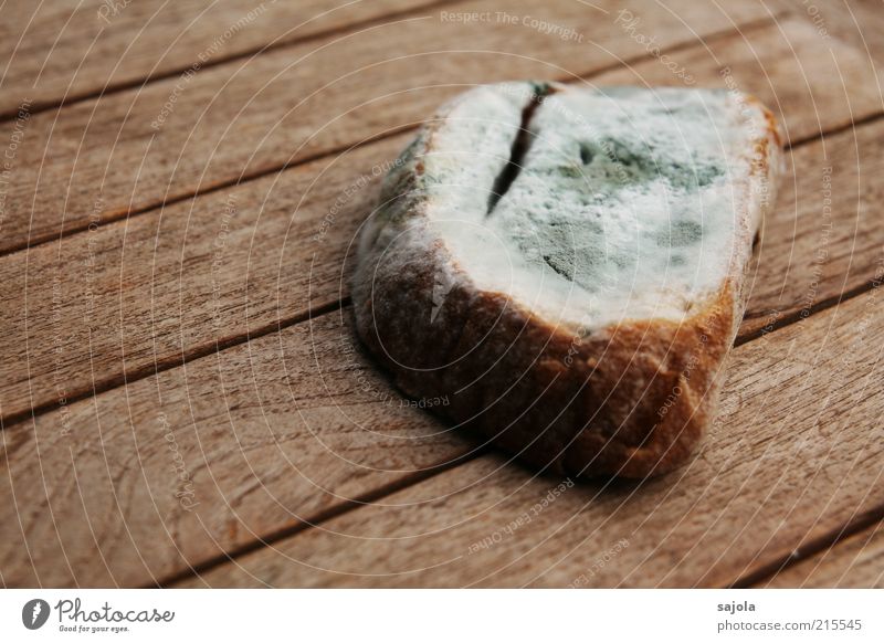 mama, muss ich das brot wirklich noch essen? Lebensmittel Brot Ernährung Tisch Ekel braun grau Verfall Schimmelpilze ungenießbar Holz Holztisch alt Farbfoto