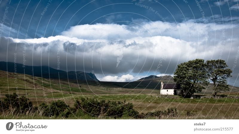 for sale Landschaft Himmel Wolken Sommer Baum Berge u. Gebirge Highlands Haus Hütte bedrohlich blau grün Einsamkeit Schutz Sturmfront Zufluchtsort Lee Weide