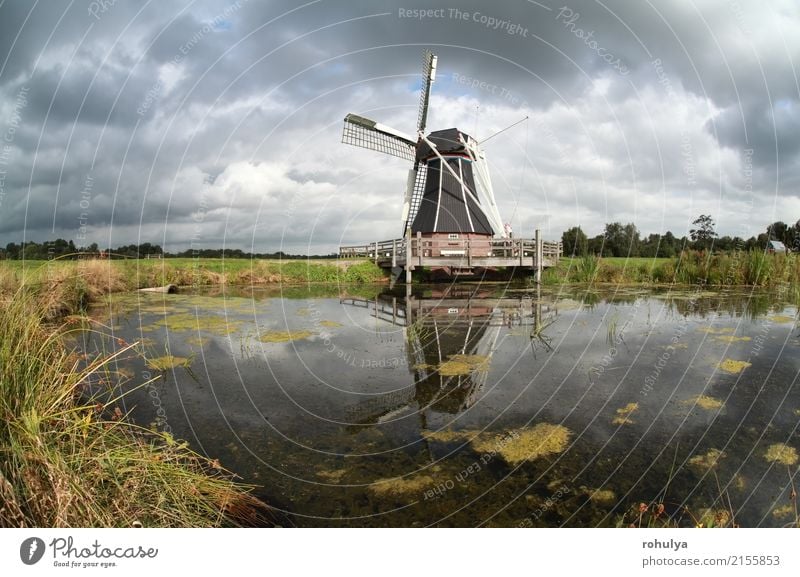 Windmühle reflektierte sich im Seewasser am sonnigen Tag Sommer Sonne Kultur Landschaft Himmel Wolken Wiese Teich Gebäude Architektur blau grün Stern