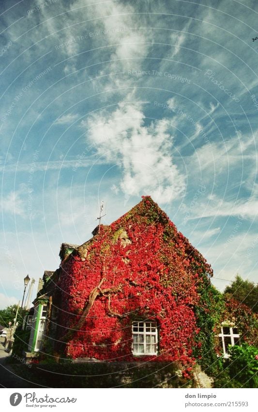 the village Ferien & Urlaub & Reisen Haus Traumhaus Garten Herbst Cong Co.Mayo Republik Irland Einfamilienhaus alt Originalität wild blau rot Idylle Nostalgie