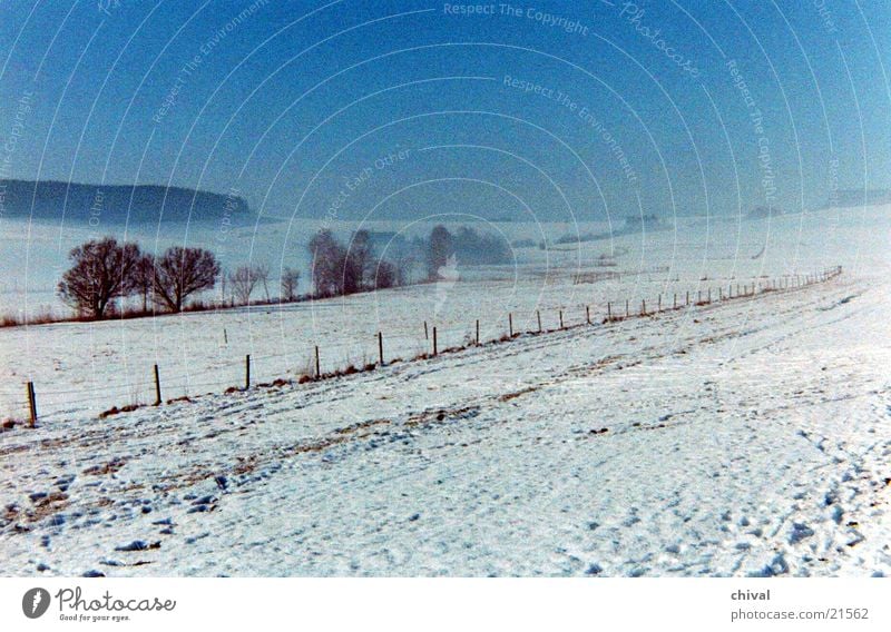 Winterlandschaft Wiese Baum Nebel Schnee Sonne