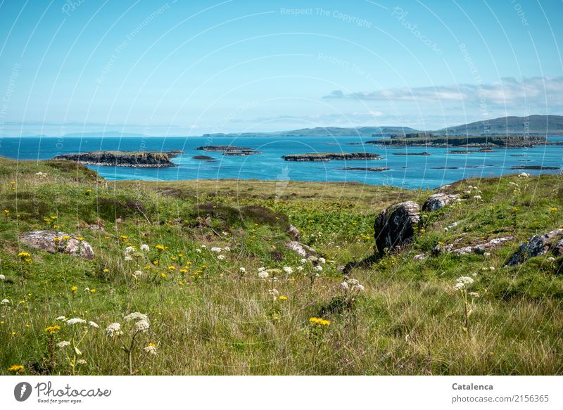 Schöne Aussichten aufs Meer von der höchsten Stelle der Insel Ferien & Urlaub & Reisen Ferne Sommer Landschaft Wasser Himmel Schönes Wetter Gras Sträucher Blüte