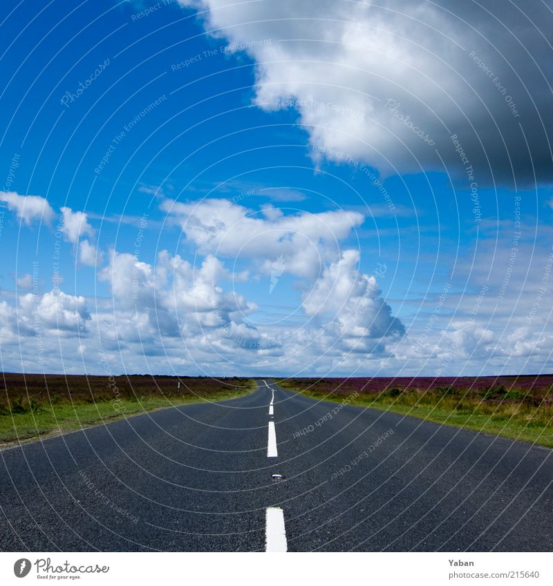 Country Roads Himmel Wolken Sommer Wetter Menschenleer Verkehrswege Straße Wege & Pfade Farbfoto Blauer Himmel Freiheit Ferne Fahrbahnmarkierung