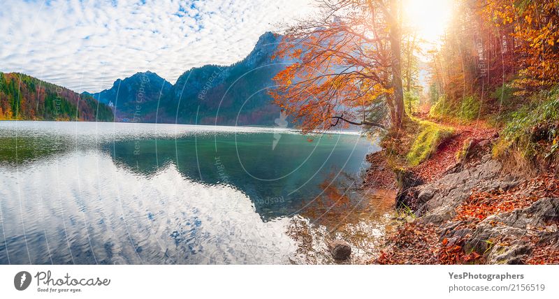 Weg auf Alpsee Seeufer im Herbstdekor Freude Berge u. Gebirge Natur Landschaft Himmel Wolken Horizont Blatt Wald Fröhlichkeit natürlich Warmherzigkeit