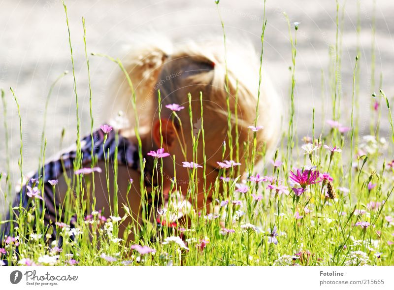 Wie viele Blumen sind das... Mensch Kind Mädchen Kindheit Kopf Haare & Frisuren Ohr Umwelt Natur Pflanze Sommer Wetter Schönes Wetter Gras Blüte Wiese hell