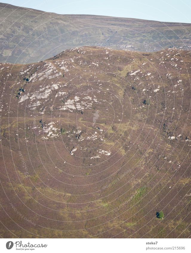 Aufforstung Landschaft Sommer Baum Berge u. Gebirge klein Einsamkeit einzigartig Umweltverschmutzung Abholzung Gedeckte Farben Außenaufnahme Menschenleer