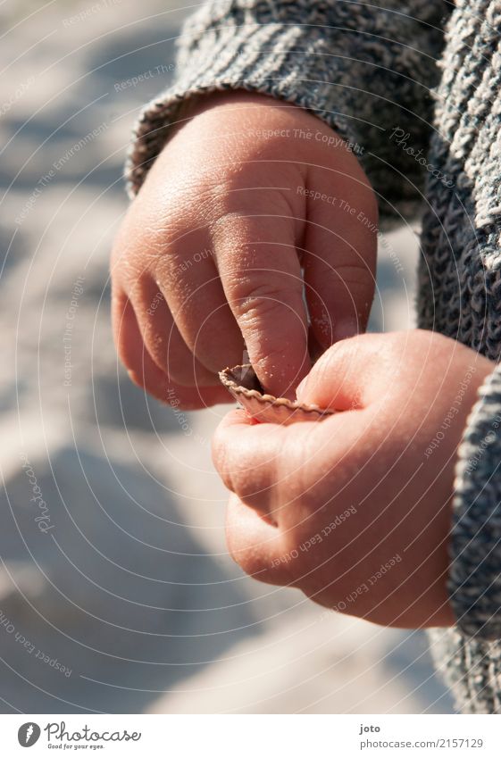 Muschelerkundung Zufriedenheit Freizeit & Hobby Kinderspiel Ferien & Urlaub & Reisen Ausflug Abenteuer Sommer Sommerurlaub Strand Kindererziehung Bildung lernen