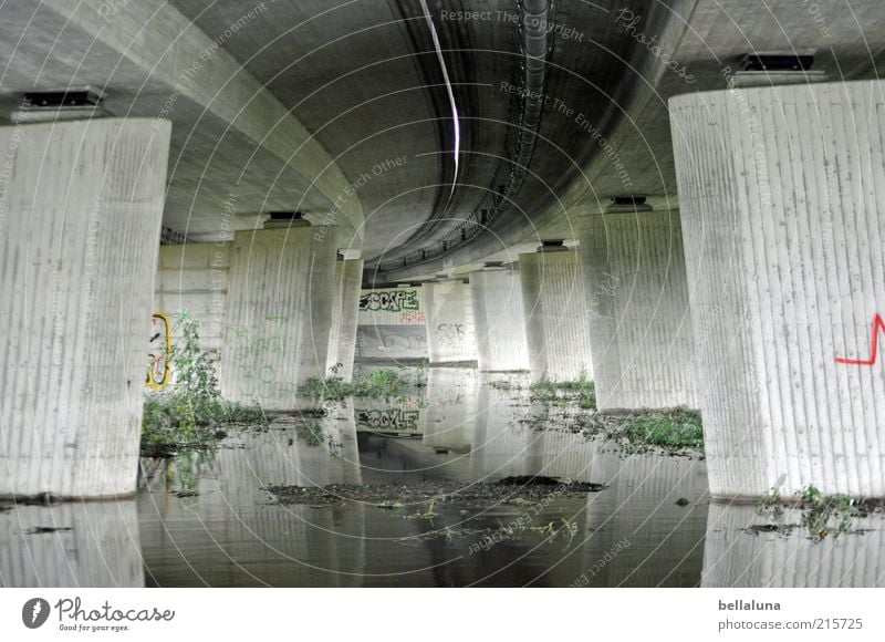 Highway - Froschperspektive Natur Urelemente Wasser Wetter Unwetter Pflanze Sträucher Wildpflanze Bach grau grün Autobahn Autobahnbrücke betoniert Betonklotz