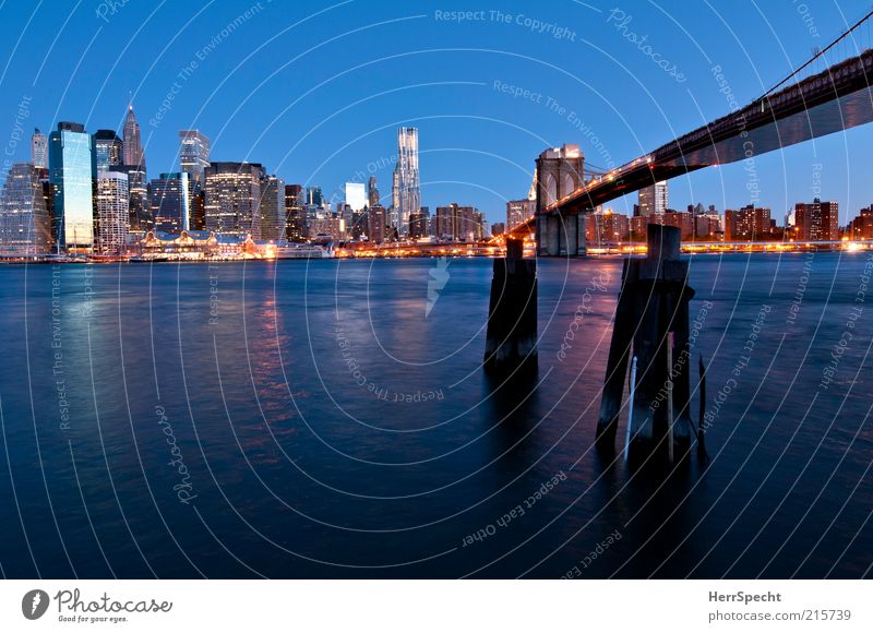 Blue hour at East River New York City Manhattan Brooklyn Brooklyn Bridge Brücke Sehenswürdigkeit Wahrzeichen blau Dämmerung Stadtzentrum Fluss Farbfoto