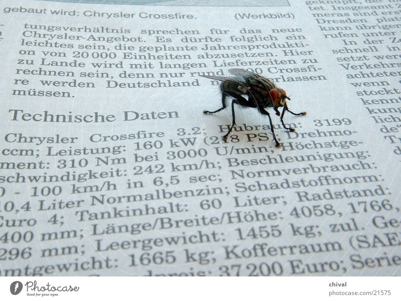 Technisches Interesse Zeitung lesen Mitteilung Fliege Technik & Technologie