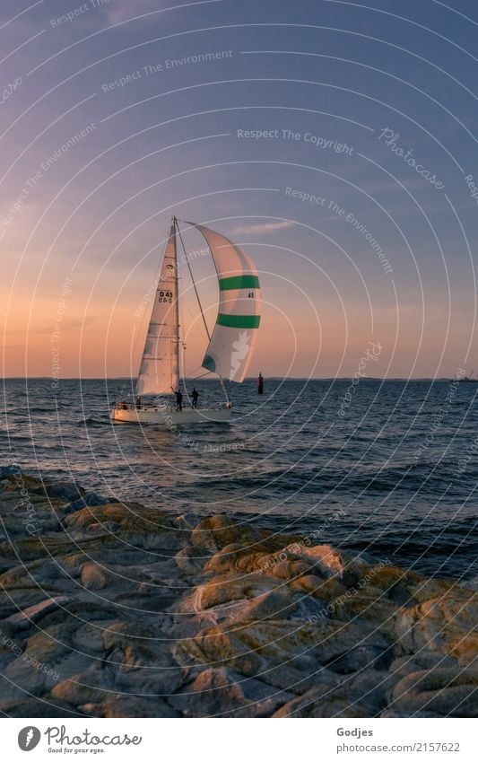 Segelschiff auf der Ostsee in der Nähe einer Hafenmauer Sport Segeln Sommer Küste Bucht Schifffahrt Segelboot fahren Blick sportlich maritim blau braun grün