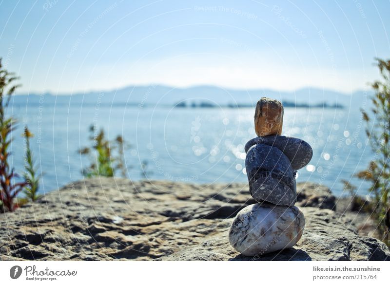 Der genießt die Aussicht harmonisch Erholung ruhig Ferne Freiheit Sommer Umwelt Natur Urelemente Wasser Himmel Wolkenloser Himmel Horizont Schönes Wetter