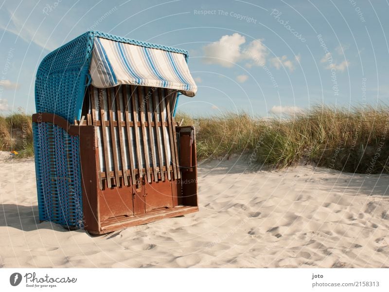 Strandfeeling Wellness harmonisch Wohlgefühl Erholung Ferien & Urlaub & Reisen Tourismus Ausflug Sommer Sommerurlaub Sonnenbad Natur Landschaft