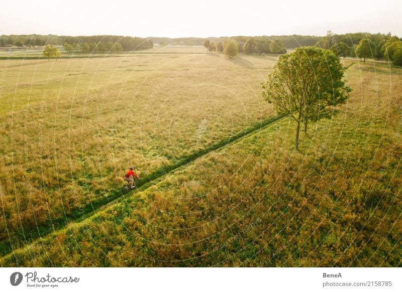 Radfahrer fährt durch Heidelandschaft im Sonnenuntergang Lifestyle Freude Freizeit & Hobby Ferien & Urlaub & Reisen Ausflug Abenteuer Ferne Freiheit Expedition