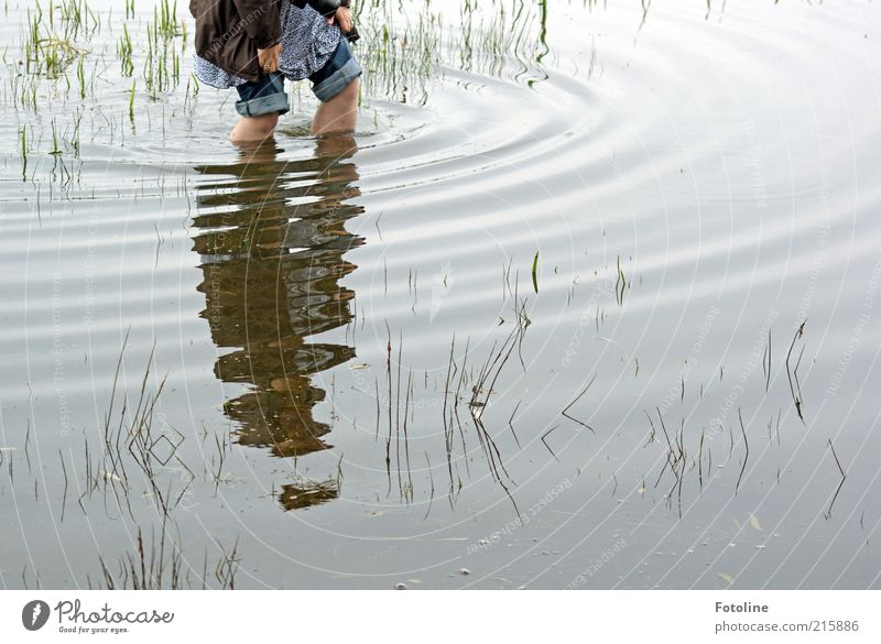 PC-User bei der Arbeit Mensch Frau Erwachsene Haut Hand Finger Beine Umwelt Natur Urelemente Wasser Pflanze Gras nass natürlich Überschwemmung überschwemmt Knie