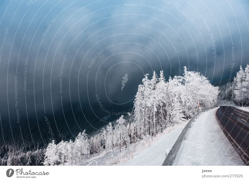 Drama am Straßenrand Himmel Wolken Winter Nebel Eis Frost Schnee Wald kalt Umwelt Schneelandschaft Farbfoto Außenaufnahme Textfreiraum oben Tag Weitwinkel