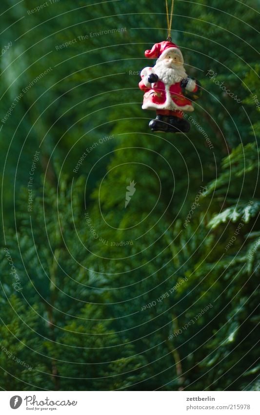 Der Weihnachtsmann gehört zu Deutschland Feste & Feiern Natur Pflanze Grünpflanze Weihnachtsbaum Weihnachtsdekoration Dekoration & Verzierung Hecke Konifere