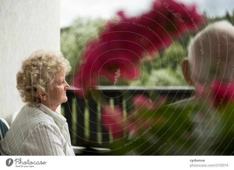 Mit den Gedanken woanders Wohlgefühl Zufriedenheit Mensch Weiblicher Senior Frau Männlicher Senior Mann Leben 2 Blume Balkon Erfahrung Freundschaft Gelassenheit